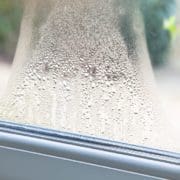 Kondens mellan fönster